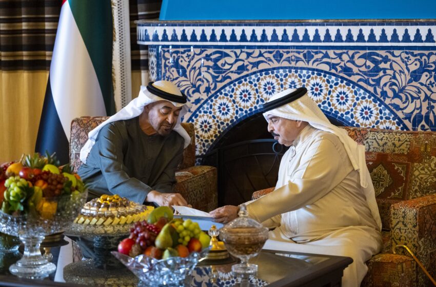  UAE President, King of Bahrain discuss bilateral ties, regional developments
